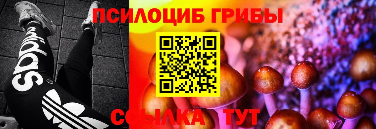 Псилоцибиновые грибы Cubensis  Вход с VPN  Великий Устюг  цена   Псилоцибиновые грибы Cubensis 